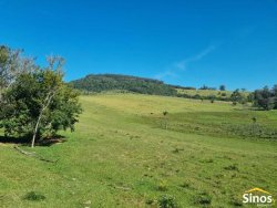 Sítio com 8,00 hectares no bairro Lomba Grande 
