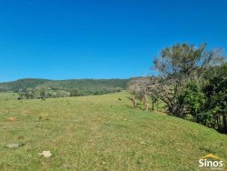Sítio com 8,00 hectares no bairro Lomba Grande 