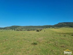 Sítio com 8,00 hectares no bairro Lomba Grande 