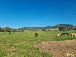 Sítio com 8,00 hectares no bairro Lomba Grande 