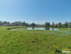 Sítio com 8,00 hectares no bairro Lomba Grande 