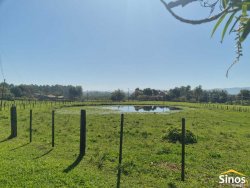 Sítio com 8,00 hectares no bairro Lomba Grande 