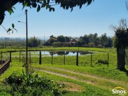 Sítio com 8,00 hectares no bairro Lomba Grande 