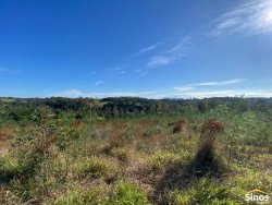 Sítio com 4,40 hectares no bairro Morungava   