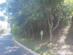 Terreno com 2.800m² no bairro Rondônia  