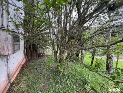 Terreno com construção no bairro Lomba Grande  