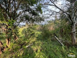 Terreno com construção no bairro Lomba Grande  