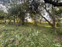 Terreno com construção no bairro Lomba Grande  