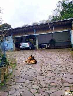 Casa com 04 dormitórios no bairro Rondônia  