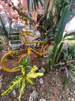 Terreno com pavilhão e sobrado no bairro Lomba Grande 