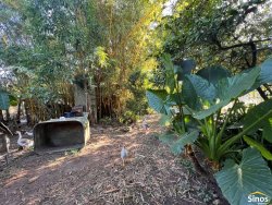 Terreno com pavilhão e sobrado no bairro Lomba Grande 