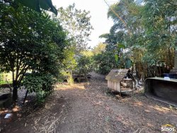 Terreno com pavilhão e sobrado no bairro Lomba Grande 