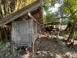 Terreno com pavilhão e sobrado no bairro Lomba Grande 