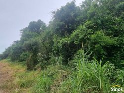 Sítio com 2,00 hectares em Lomba Grande 