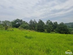Sítio com 2,00 hectares em Lomba Grande 