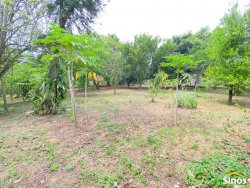 Terreno de esquina com 303m² no bairro Lomba Grande  