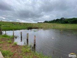 Terrenos a partir de 300m² no loteamento Garten Platz 