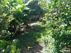 Terreno com chalé no bairro Guarani  