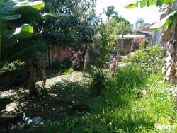 Terreno com chalé no bairro Guarani  