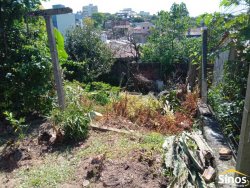 Terreno com chalé no bairro Guarani  