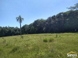 Sítio com 10ha com linda vista panorâmica no bairro Figueirão 