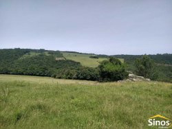 Sítio com 10ha com linda vista panorâmica no bairro Figueirão 