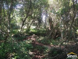 Sítio com 10ha com linda vista panorâmica no bairro Figueirão 