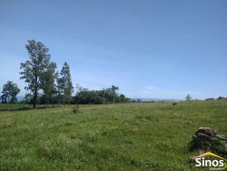 Sítio com 10ha com linda vista panorâmica no bairro Figueirão 