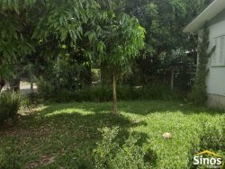 Casa com 03 dormitórios no bairro Amaral Ribeiro 