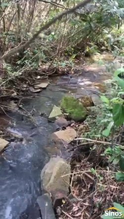 Sítio com 5,4 hectares na Fazendo Fialho 