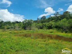 Sítio com 2,1 hectares no bairro Lomba Grande 