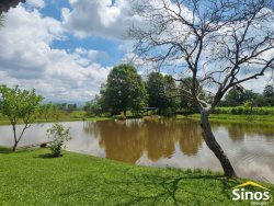 Lindo sítio de 2,5 hectares em Lomba Grande 