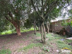 Terreno com 448,77m² no bairro Morro do Espelho 