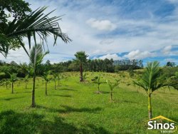 Sítio com 3,4 hectares em Itacolomi  