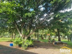 Sítio com 3,4 hectares em Itacolomi  