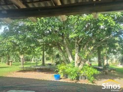 Sítio com 3,4 hectares em Itacolomi  
