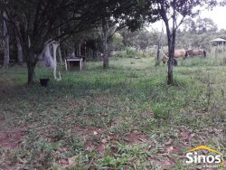 Sítio com 18.000,00m² no bairro Passo da Areia 