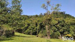 Sítio com 10,00 hectares no bairro Lomba Grande 