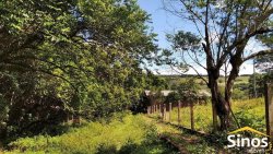 Sítio com 10,00 hectares no bairro Lomba Grande 