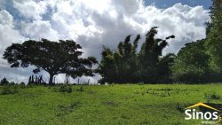 Sítio com 10,00 hectares no bairro Lomba Grande 