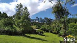 Sítio com 10,00 hectares no bairro Lomba Grande 