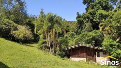 Sítio com 10,00 hectares no bairro Lomba Grande 