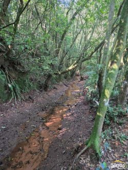 Sítio com 23.675,00m² na Fazenda Fialho 