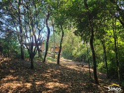 Sítio com 23.675,00m² na Fazenda Fialho 