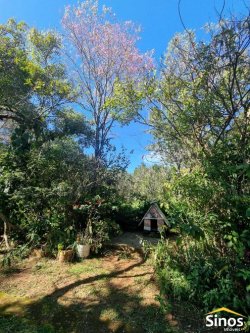 Sítio com 3,7 hectares no bairro Lomba Grande 