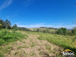 Sítio com 3,7 hectares no bairro Lomba Grande 