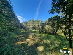 Sítio com 3,7 hectares no bairro Lomba Grande 