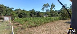 Sítio com 5.517,00m² no bairro Lomba Grande 
