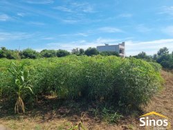 Sítio com 10.000m² no bairro Lomba Grande  