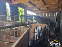 Sítio com 10.000m² no bairro Lomba Grande  